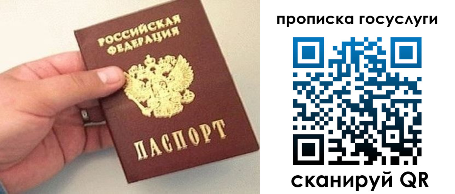 где прописаться в Зверево